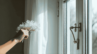 The Ultimate Window Cleaning Guide: Tools and Techniques for Streak-Free Shine